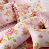 红富士生态家纺 生态纺750系列纯棉斜纹印花床上用品四件套 夏日馨香
